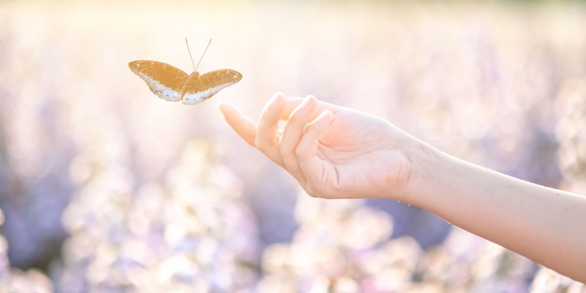 Lepidopterofobie, angst voor vlinders, holi me, Daphne