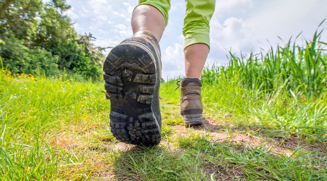Wandelen