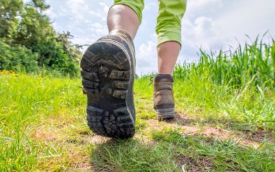 Wandelen