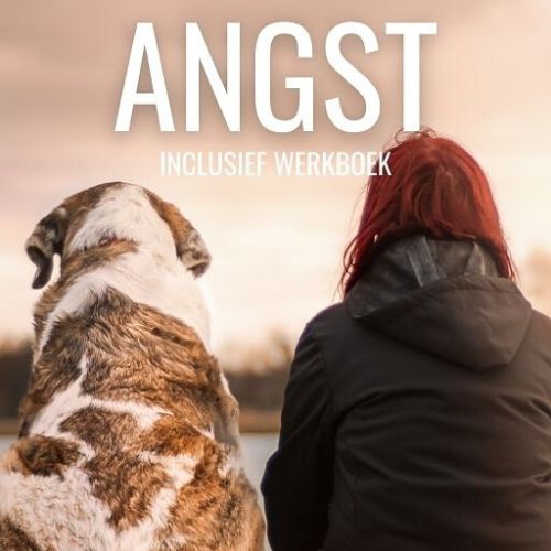 Holi Me - ebook - Angst voorpagina