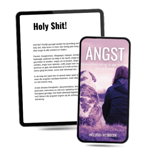 ebook Angst en werkboek
