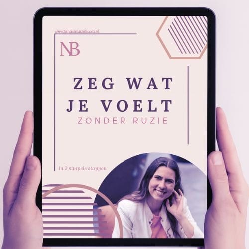 Zeg wat je voelt, minigids, nina van den Bosch, holi me